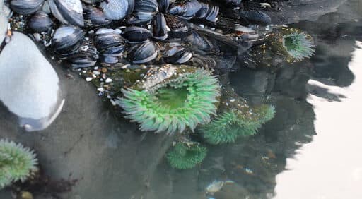 Edwin K Bed and Breakfast