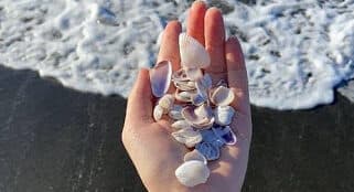 Edwin K Bed and Breakfast